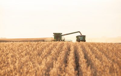 Fall Harvest is a Great Time for Ag Lending